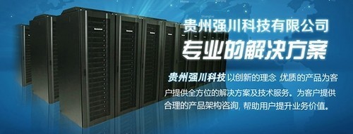 中端性能配置服務器 貴州強川出售:12500元